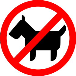 no-animals